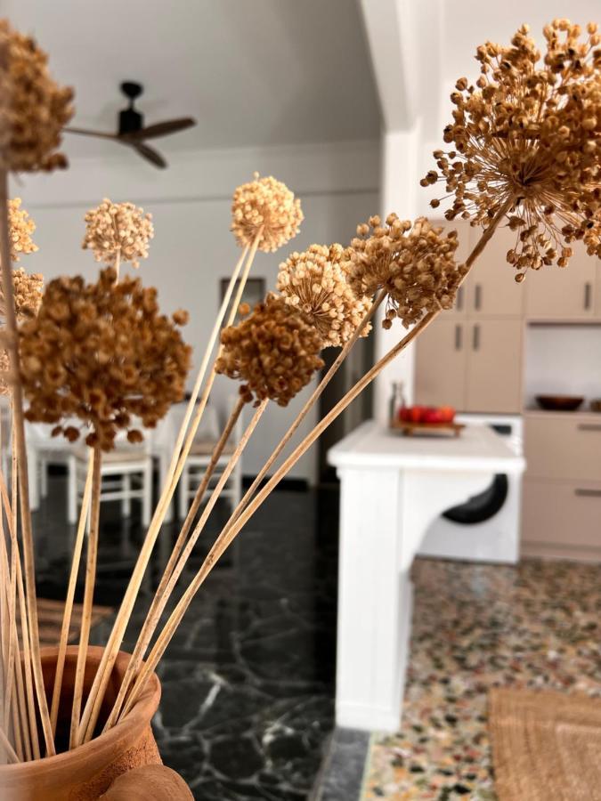 Apartment In Paros Eksteriør billede